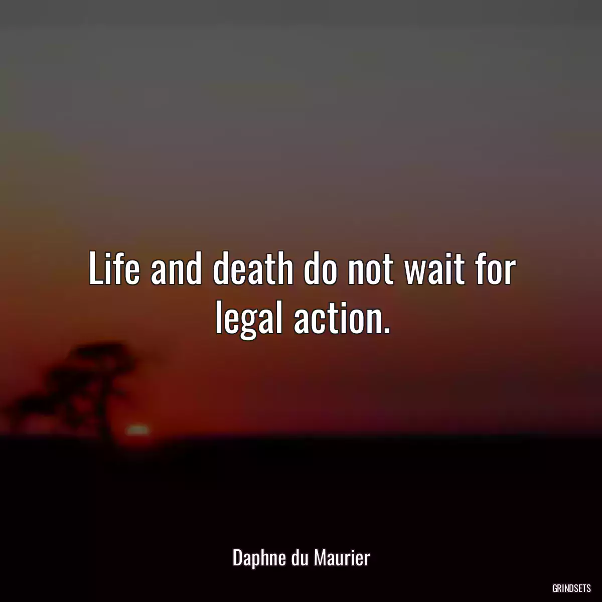 Life and death do not wait for legal action.