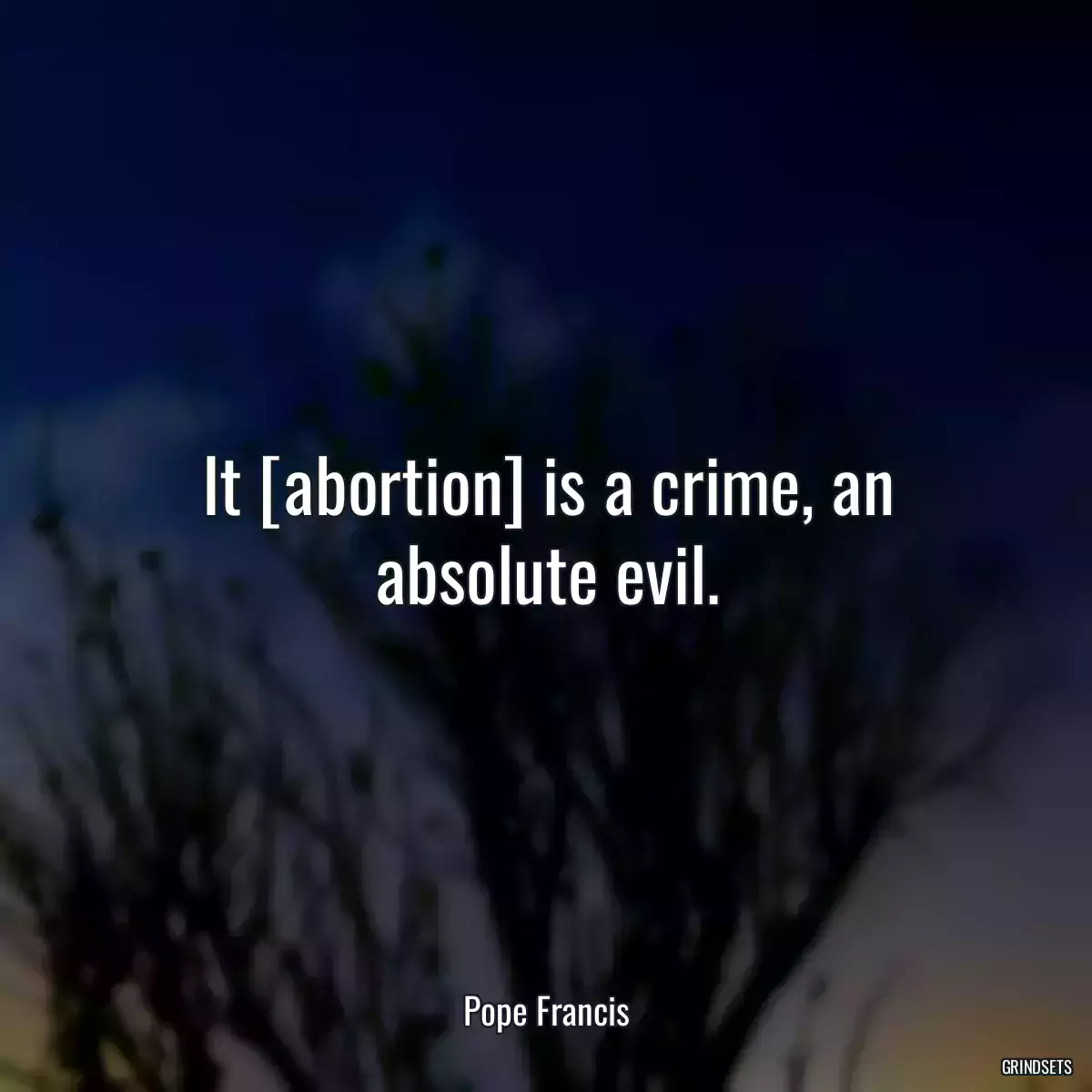 It [abortion] is a crime, an absolute evil.