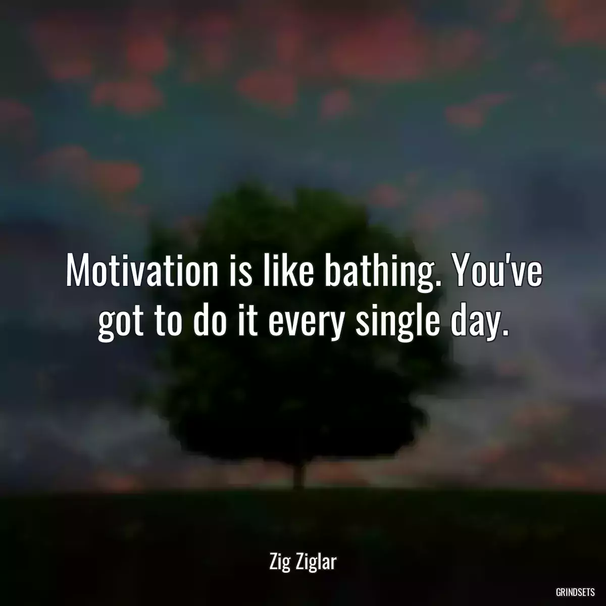 Motivation is like bathing. You\'ve got to do it every single day.