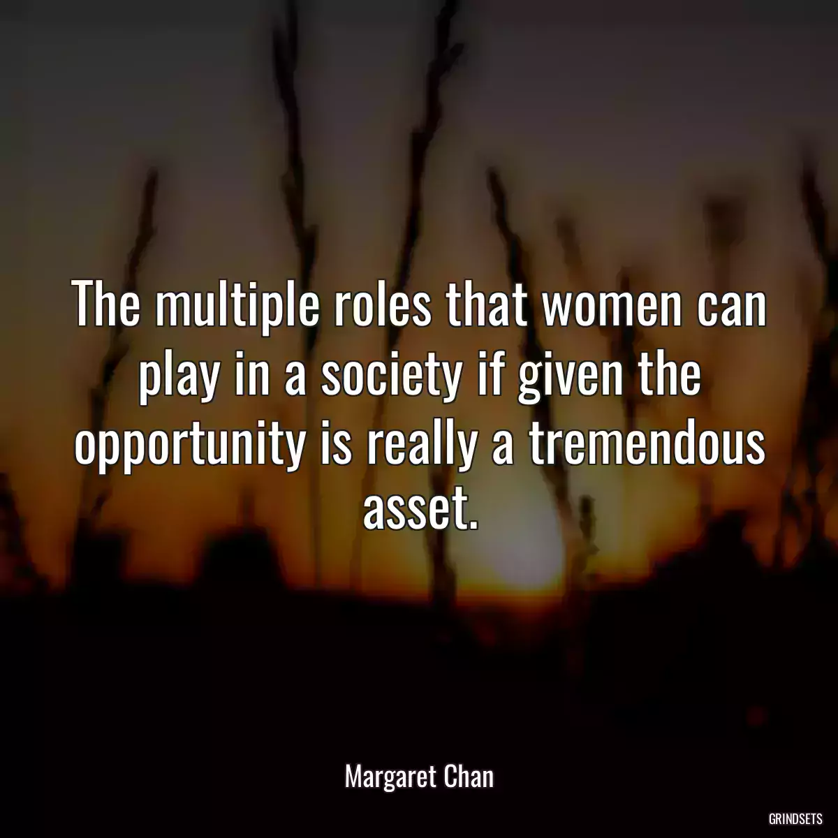 The multiple roles that women can play in a society if given the opportunity is really a tremendous asset.