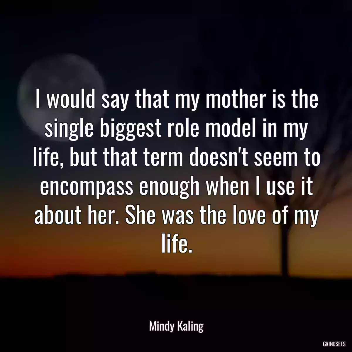 I would say that my mother is the single biggest role model in my life, but that term doesn\'t seem to encompass enough when I use it about her. She was the love of my life.