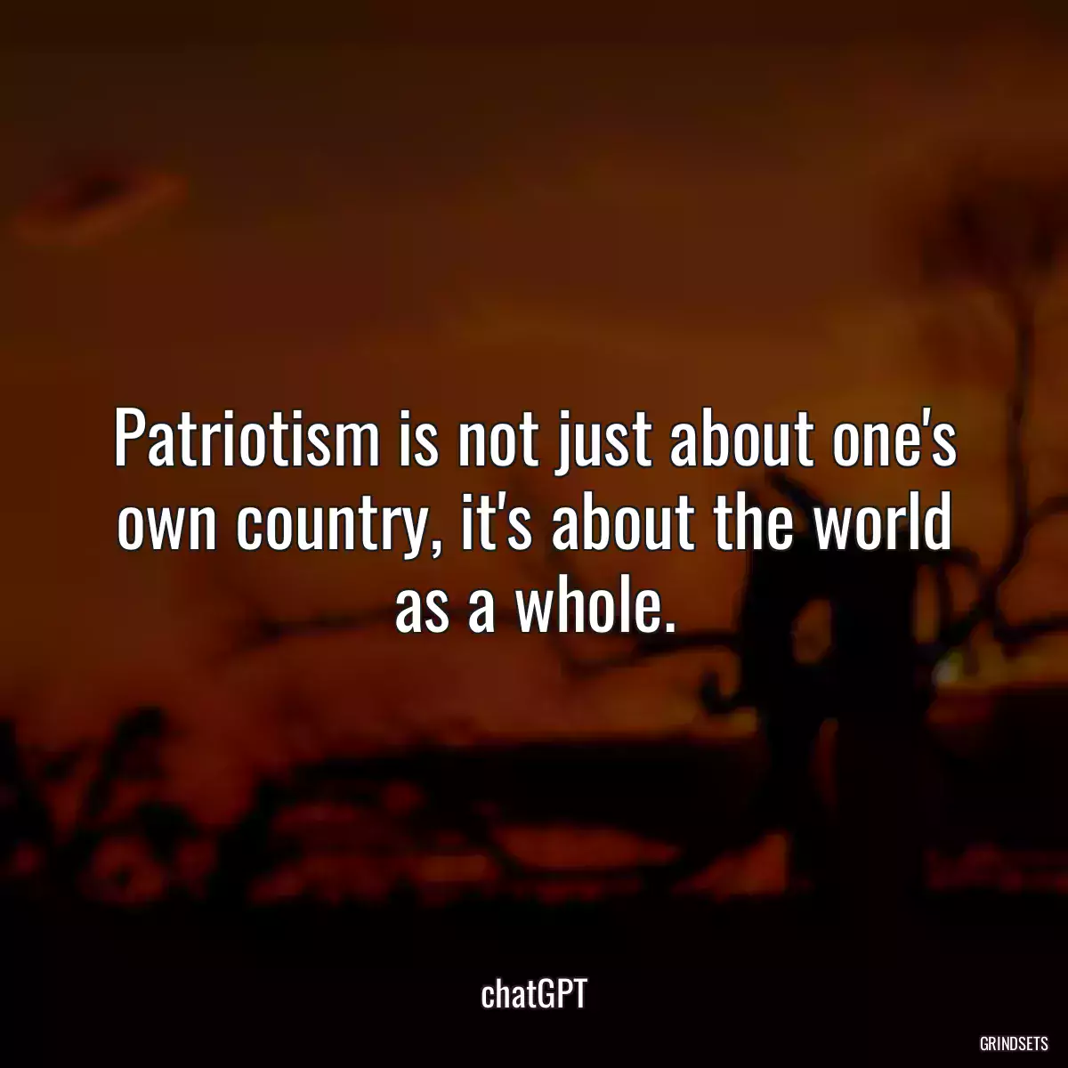 Patriotism is not just about one\'s own country, it\'s about the world as a whole.