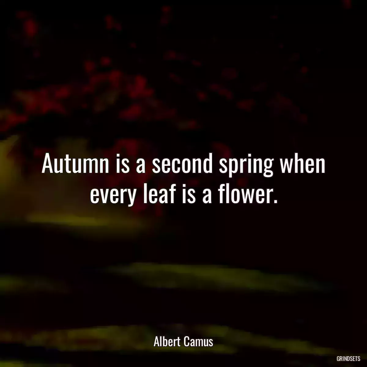 Autumn is a second spring when every leaf is a flower.