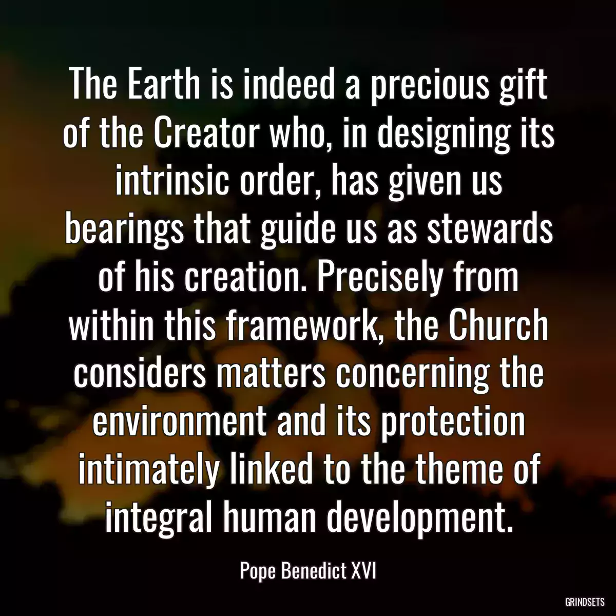 The Earth is indeed a precious gift of the Creator who, in designing its intrinsic order, has given us bearings that guide us as stewards of his creation. Precisely from within this framework, the Church considers matters concerning the environment and its protection intimately linked to the theme of integral human development.