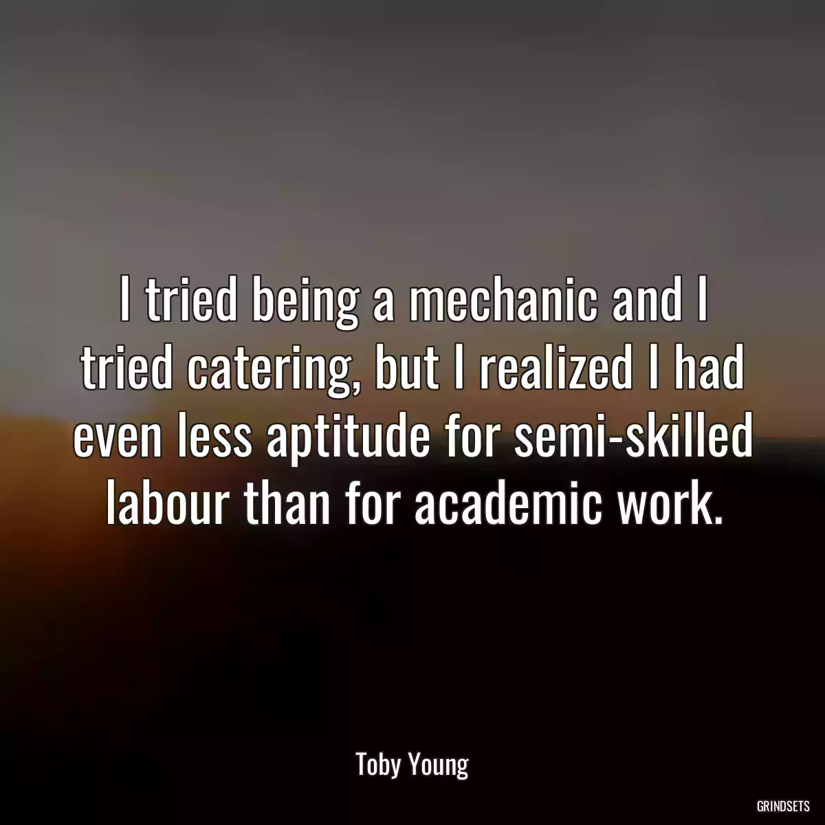 I tried being a mechanic and I tried catering, but I realized I had even less aptitude for semi-skilled labour than for academic work.