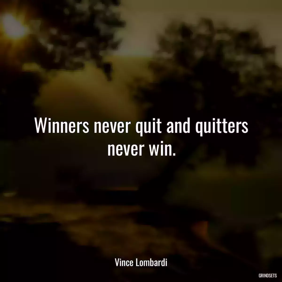Winners never quit and quitters never win.