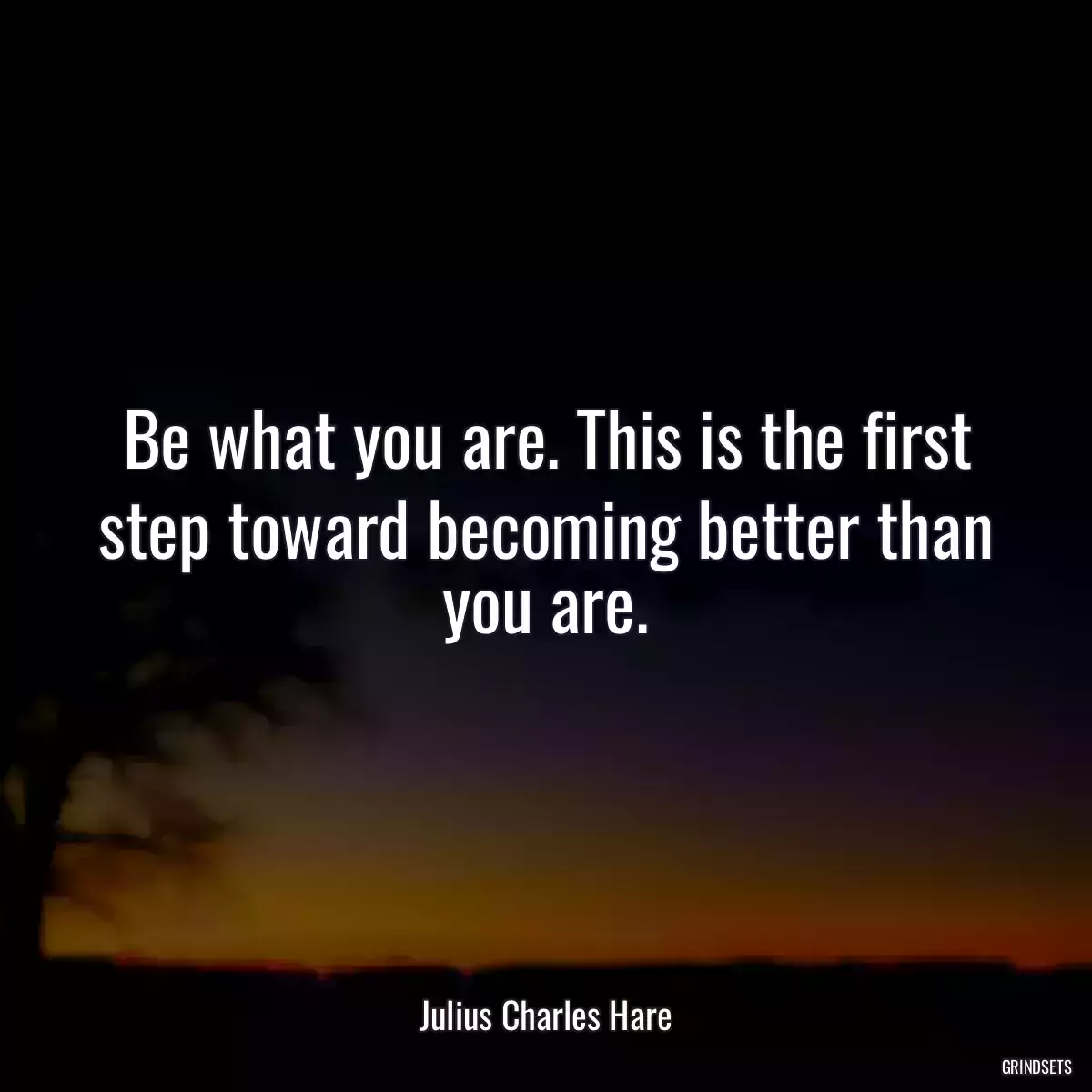 Be what you are. This is the first step toward becoming better than you are.