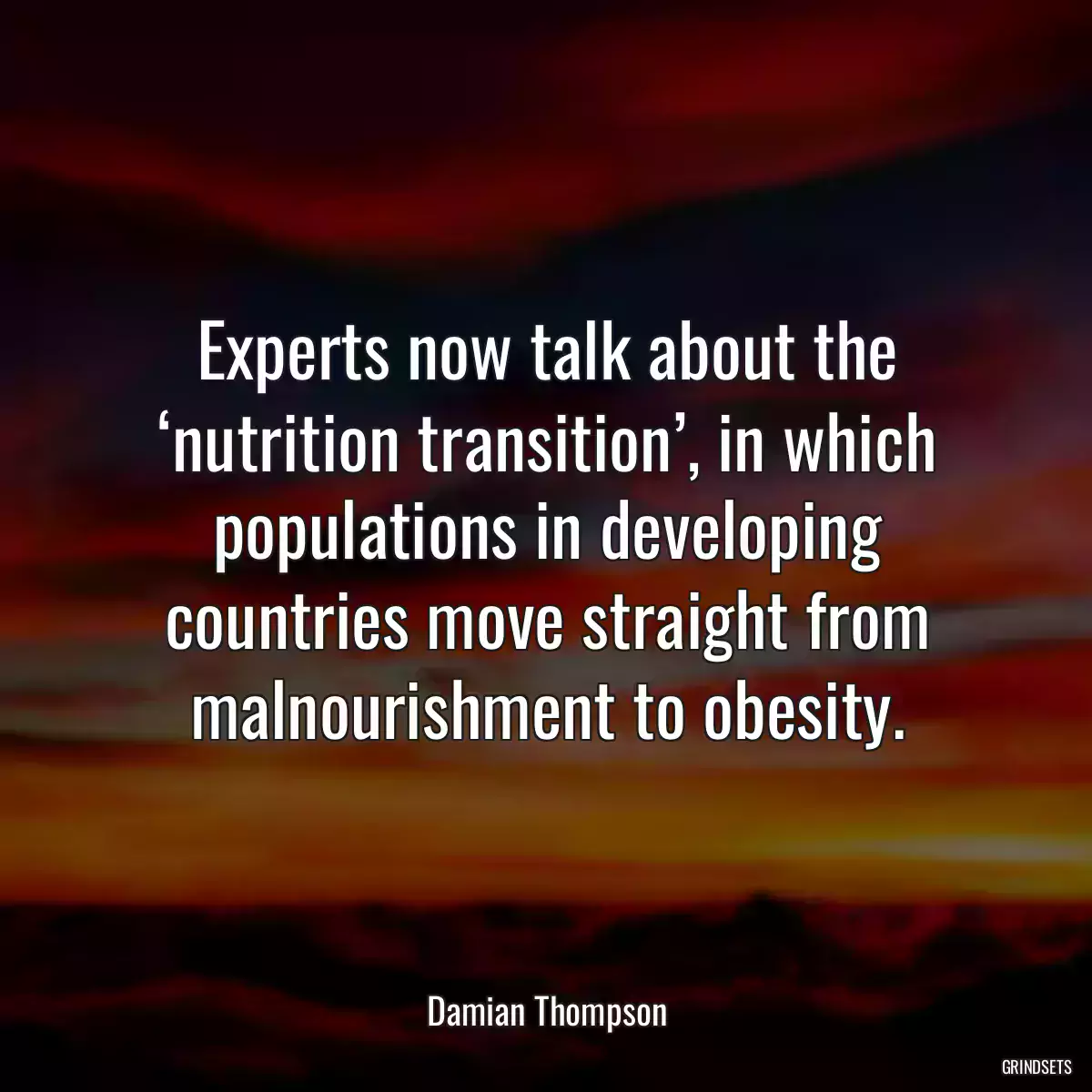 Experts now talk about the ‘nutrition transition’, in which populations in developing countries move straight from malnourishment to obesity.