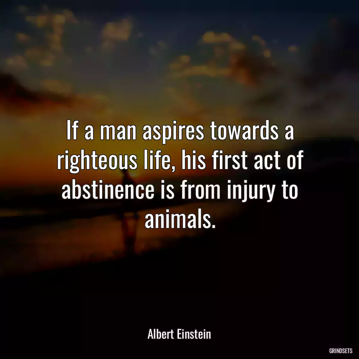 If a man aspires towards a righteous life, his first act of abstinence is from injury to animals.