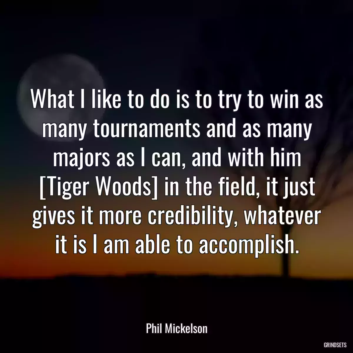 What I like to do is to try to win as many tournaments and as many majors as I can, and with him [Tiger Woods] in the field, it just gives it more credibility, whatever it is I am able to accomplish.