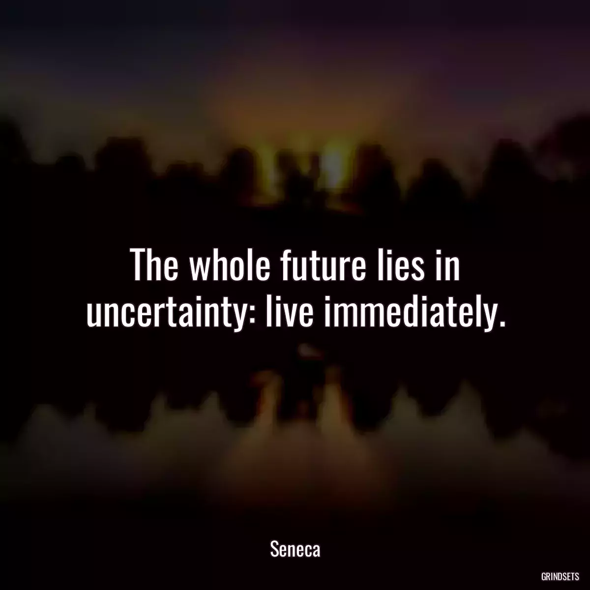 The whole future lies in uncertainty: live immediately.