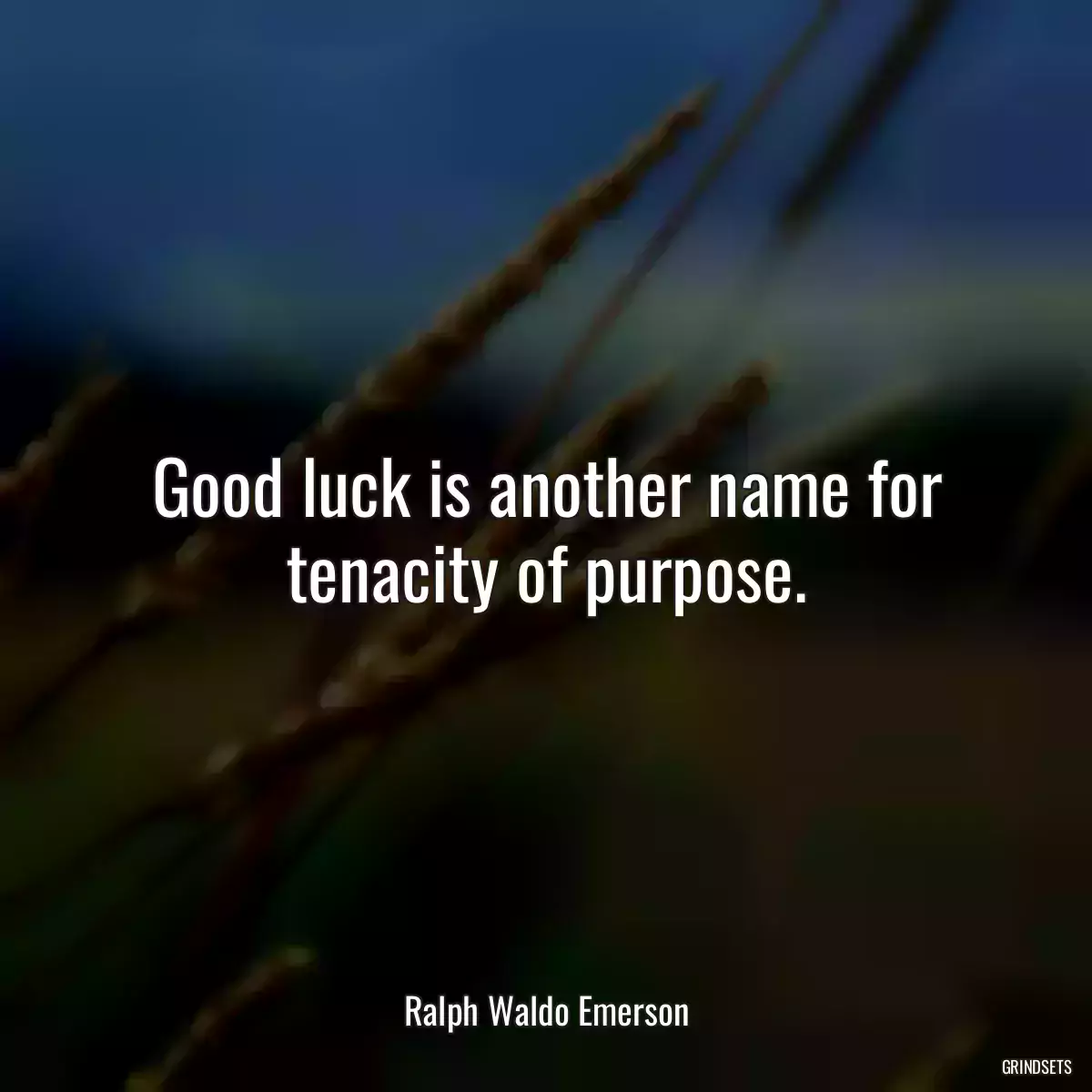 Good luck is another name for tenacity of purpose.