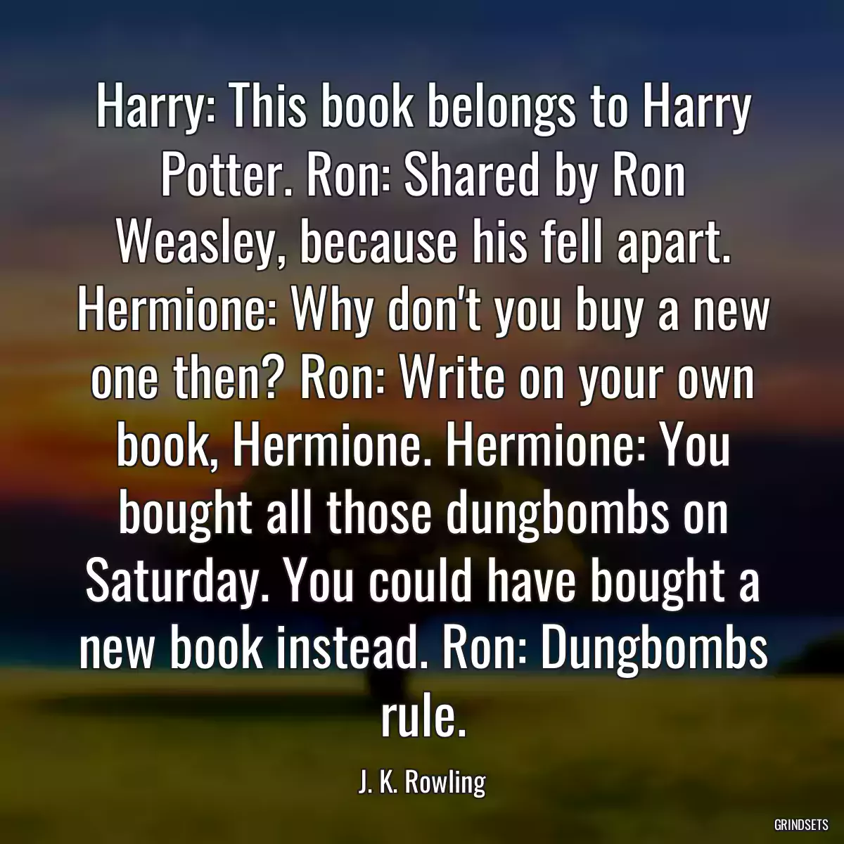 Harry: This book belongs to Harry Potter. Ron: Shared by Ron Weasley, because his fell apart. Hermione: Why don\'t you buy a new one then? Ron: Write on your own book, Hermione. Hermione: You bought all those dungbombs on Saturday. You could have bought a new book instead. Ron: Dungbombs rule.