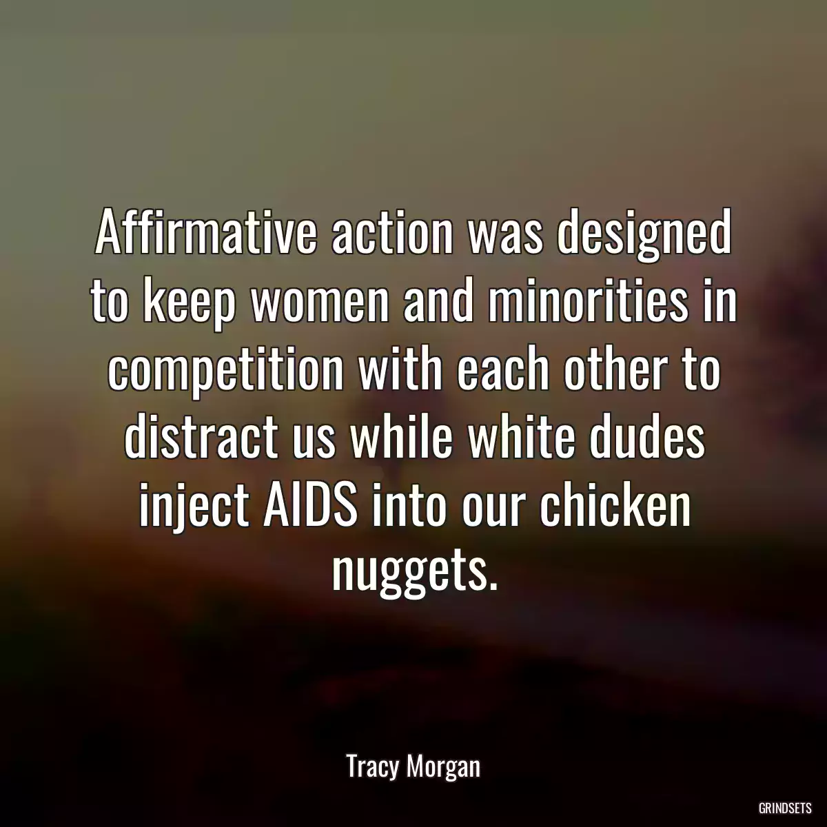 Affirmative action was designed to keep women and minorities in competition with each other to distract us while white dudes inject AIDS into our chicken nuggets.