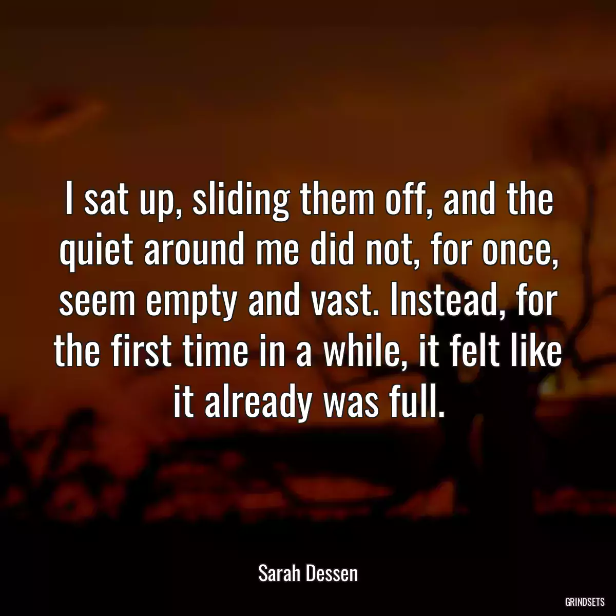 I sat up, sliding them off, and the quiet around me did not, for once, seem empty and vast. Instead, for the first time in a while, it felt like it already was full.