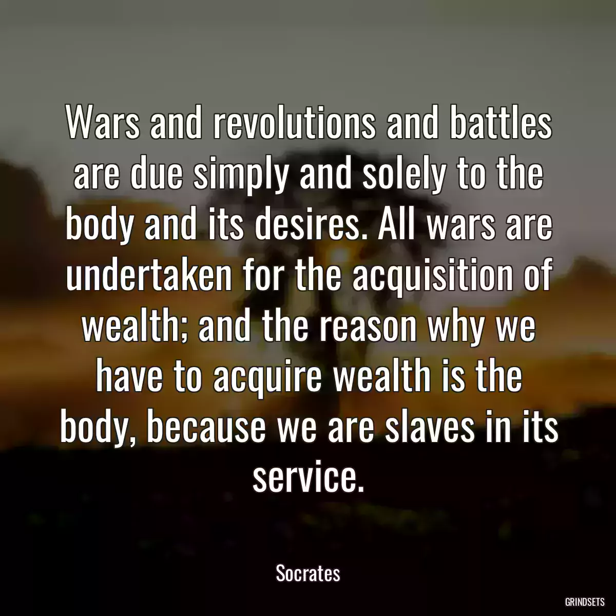 Wars and revolutions and battles are due simply and solely to the body and its desires. All wars are undertaken for the acquisition of wealth; and the reason why we have to acquire wealth is the body, because we are slaves in its service.