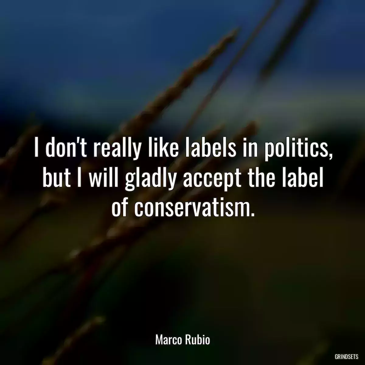 I don\'t really like labels in politics, but I will gladly accept the label of conservatism.