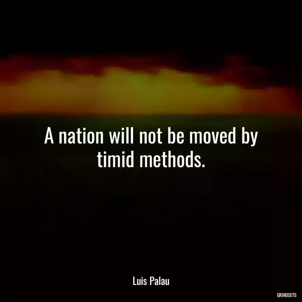 A nation will not be moved by timid methods.