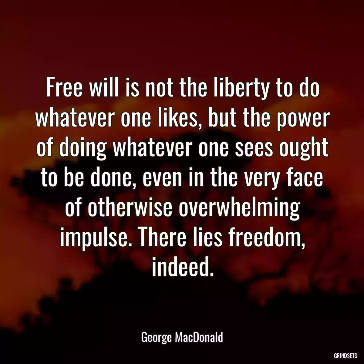 Free will is not the liberty to do whatever one likes, but the power of doing whatever one sees ought to be done, even in the very face of otherwise overwhelming impulse. There lies freedom, indeed.