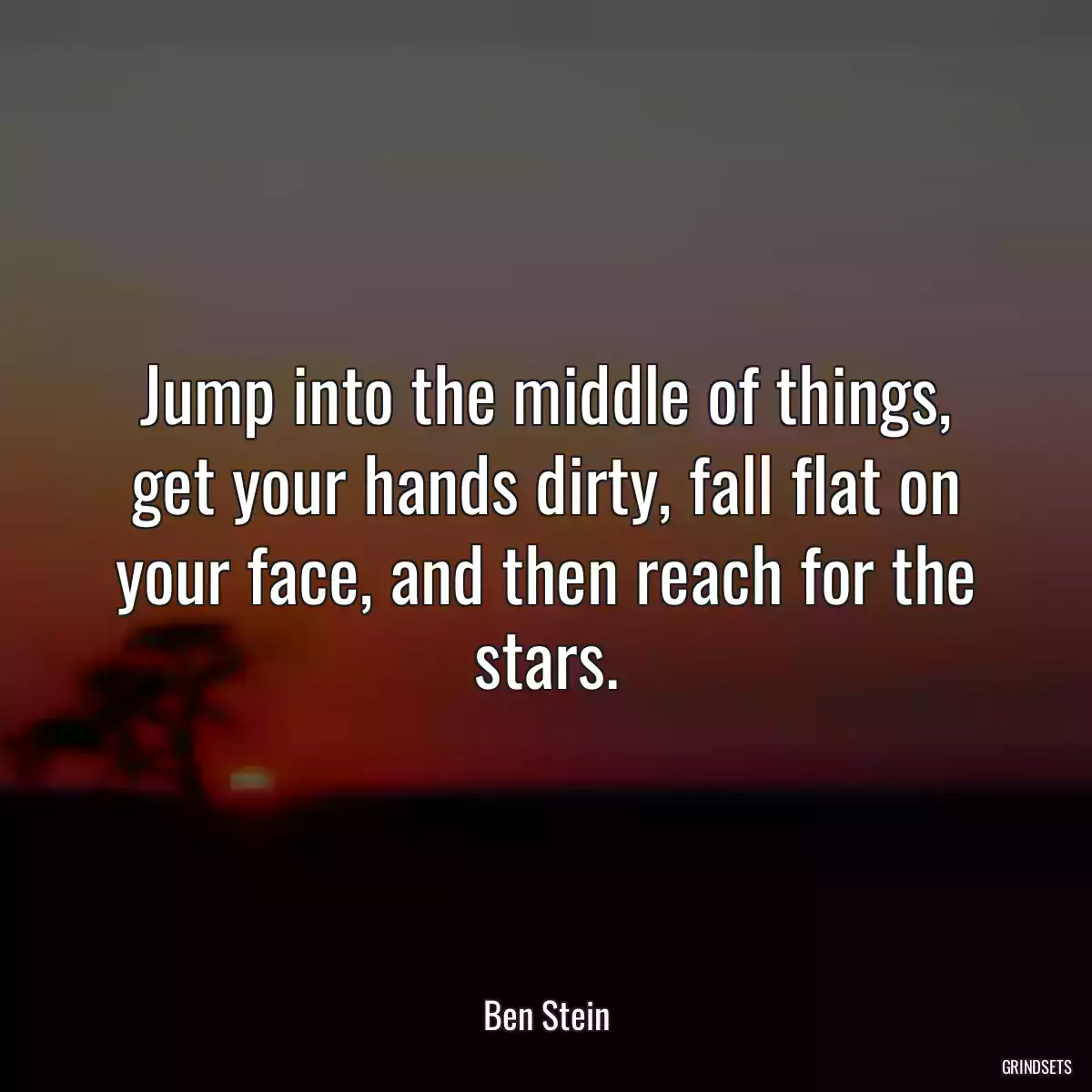 Jump into the middle of things, get your hands dirty, fall flat on your face, and then reach for the stars.