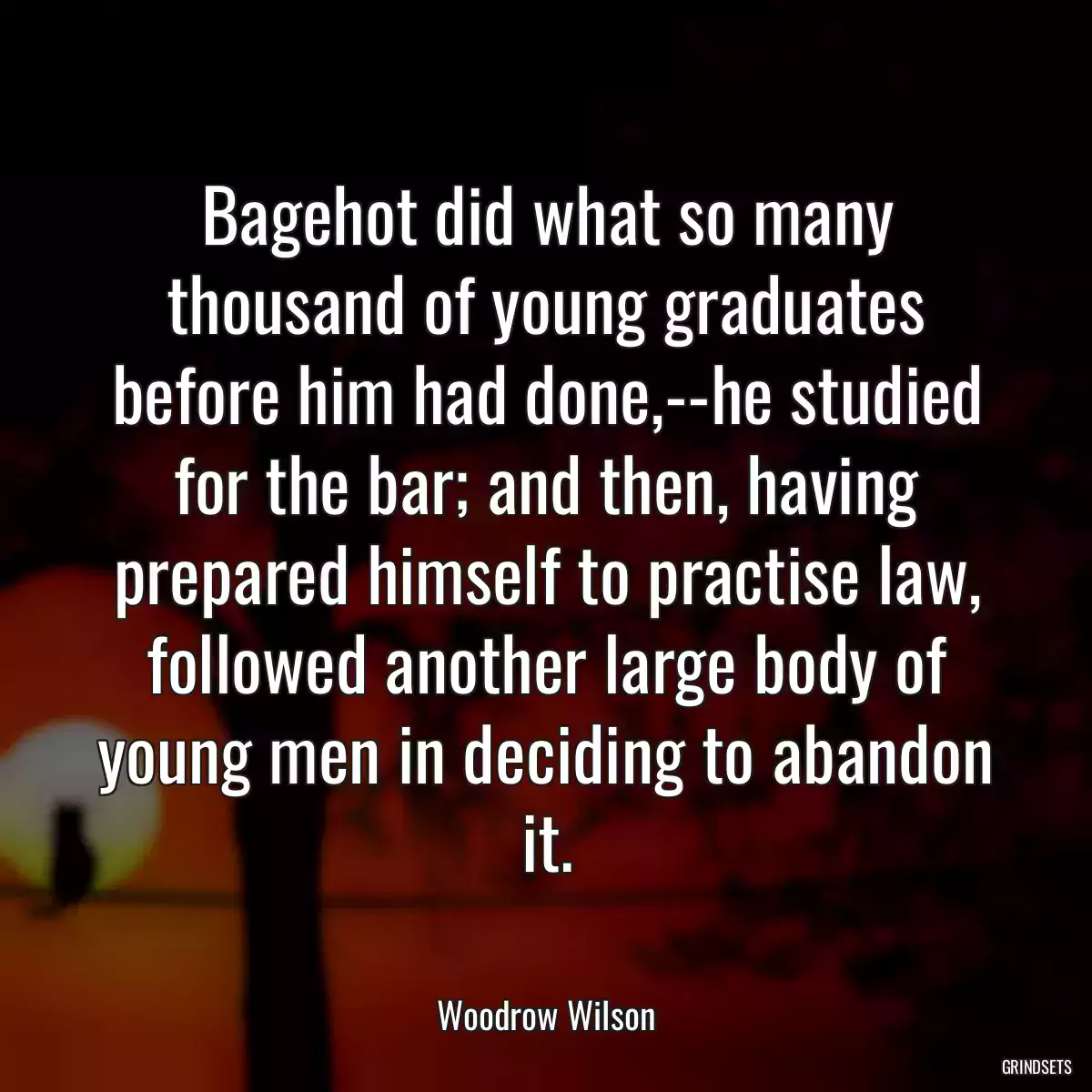 Bagehot did what so many thousand of young graduates before him had done,--he studied for the bar; and then, having prepared himself to practise law, followed another large body of young men in deciding to abandon it.