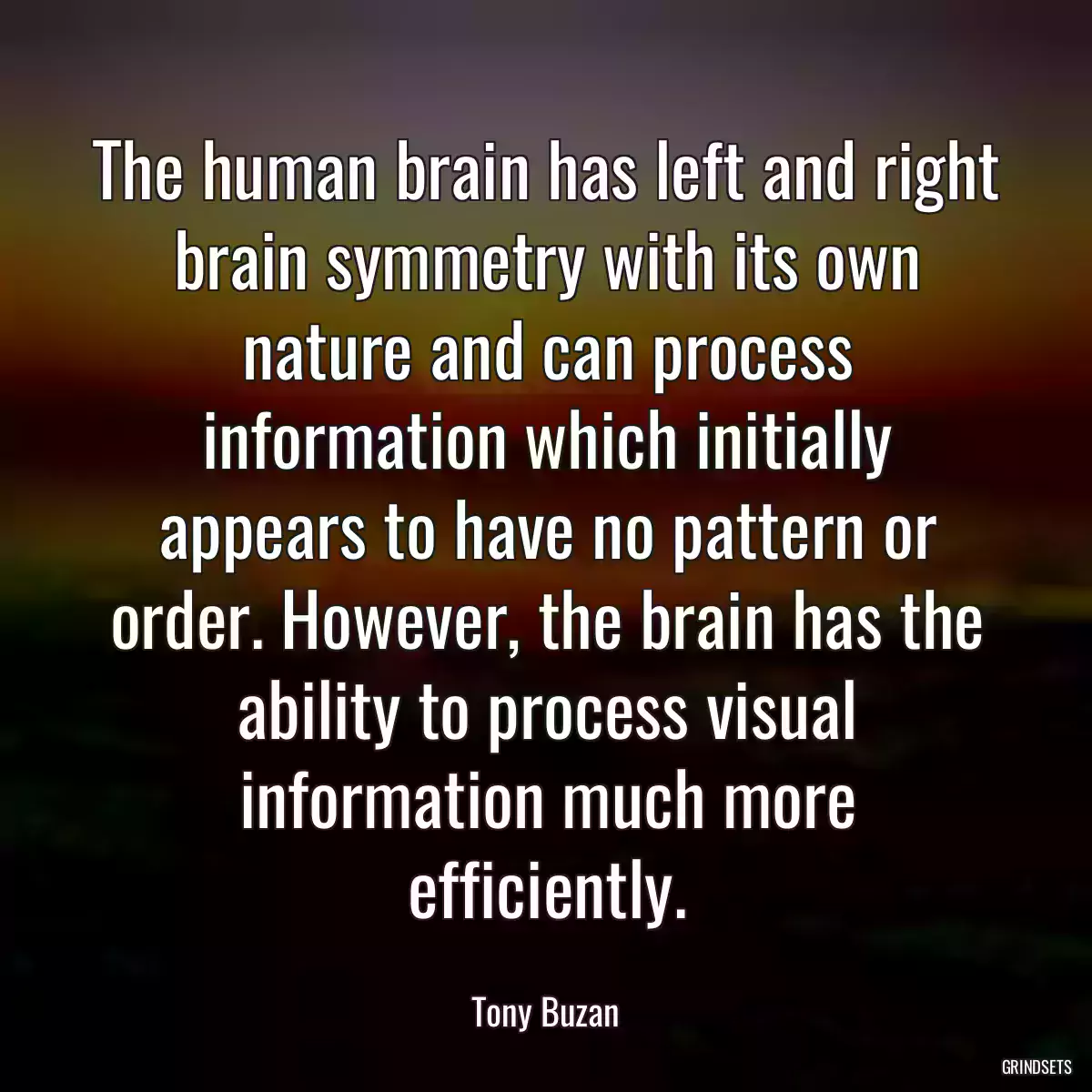 The human brain has left and right brain symmetry with its own nature and can process information which initially appears to have no pattern or order. However, the brain has the ability to process visual information much more efficiently.