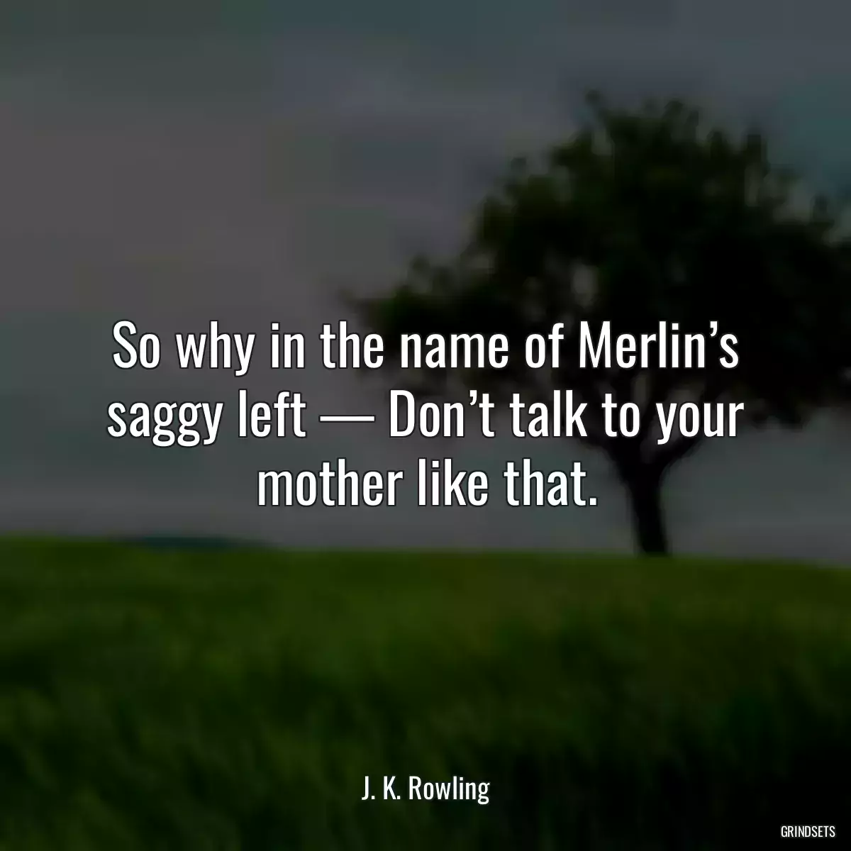 So why in the name of Merlin’s saggy left — Don’t talk to your mother like that.