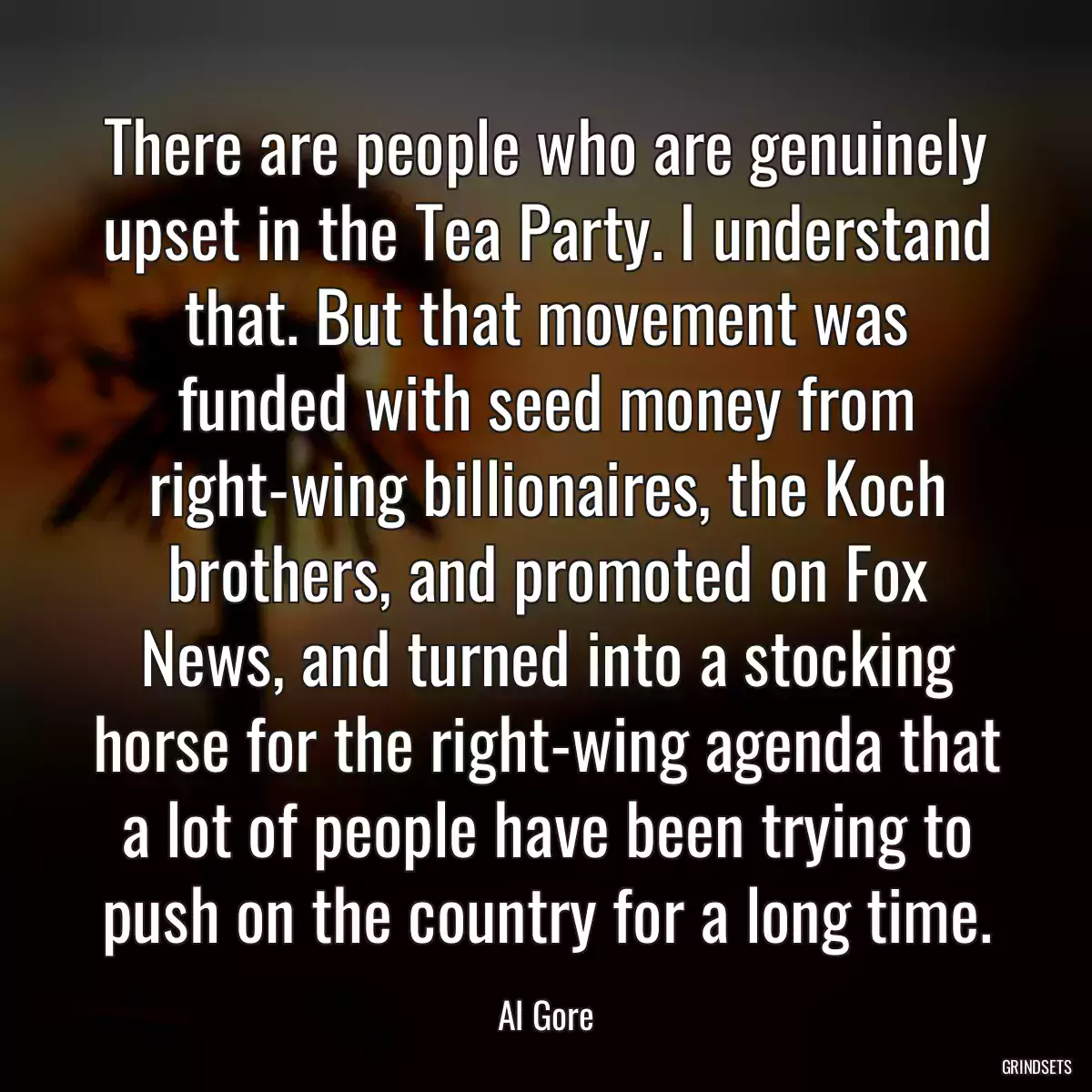 There are people who are genuinely upset in the Tea Party. I understand that. But that movement was funded with seed money from right-wing billionaires, the Koch brothers, and promoted on Fox News, and turned into a stocking horse for the right-wing agenda that a lot of people have been trying to push on the country for a long time.