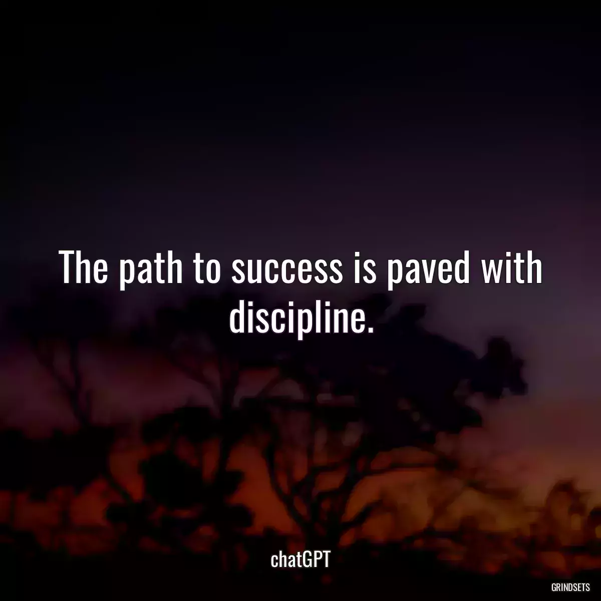 The path to success is paved with discipline.