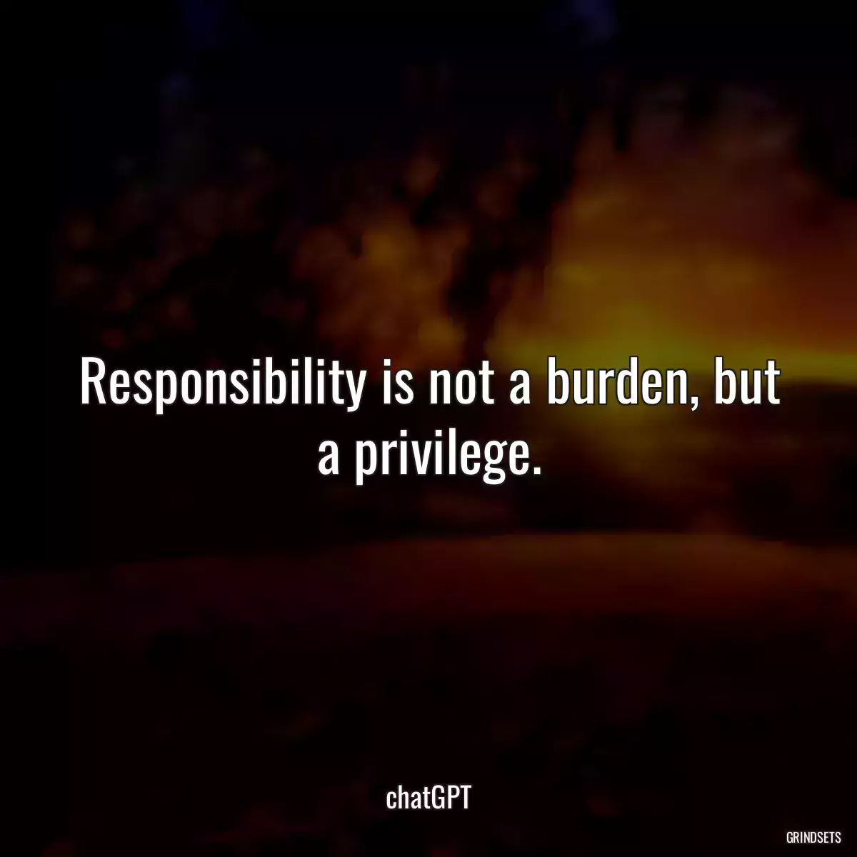 Responsibility is not a burden, but a privilege.