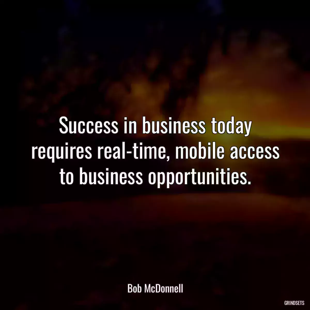 Success in business today requires real-time, mobile access to business opportunities.