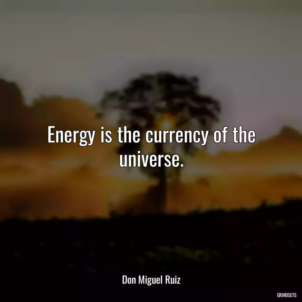 Energy is the currency of the universe.