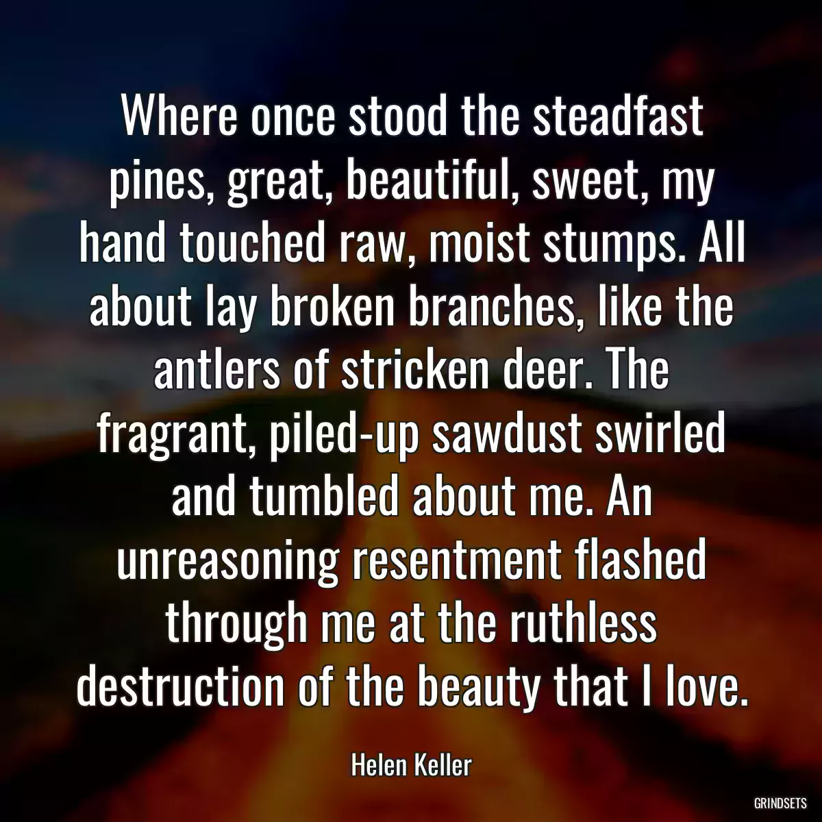 Where once stood the steadfast pines, great, beautiful, sweet, my hand touched raw, moist stumps. All about lay broken branches, like the antlers of stricken deer. The fragrant, piled-up sawdust swirled and tumbled about me. An unreasoning resentment flashed through me at the ruthless destruction of the beauty that I love.