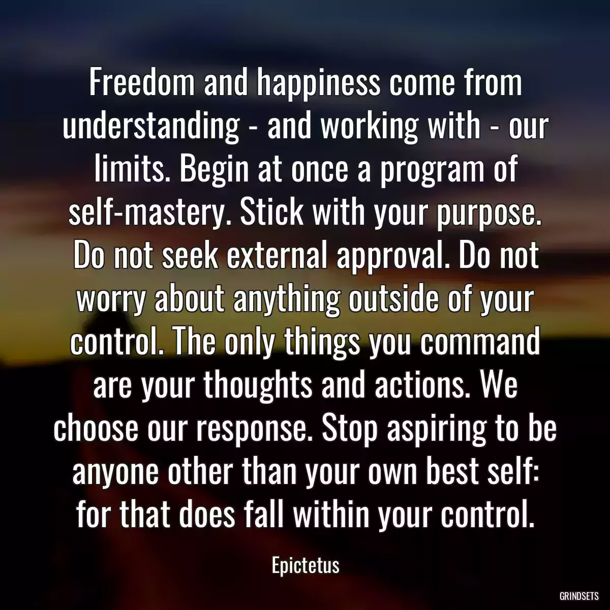 Freedom and happiness come from understanding - and working with - our limits. Begin at once a program of self-mastery. Stick with your purpose. Do not seek external approval. Do not worry about anything outside of your control. The only things you command are your thoughts and actions. We choose our response. Stop aspiring to be anyone other than your own best self: for that does fall within your control.