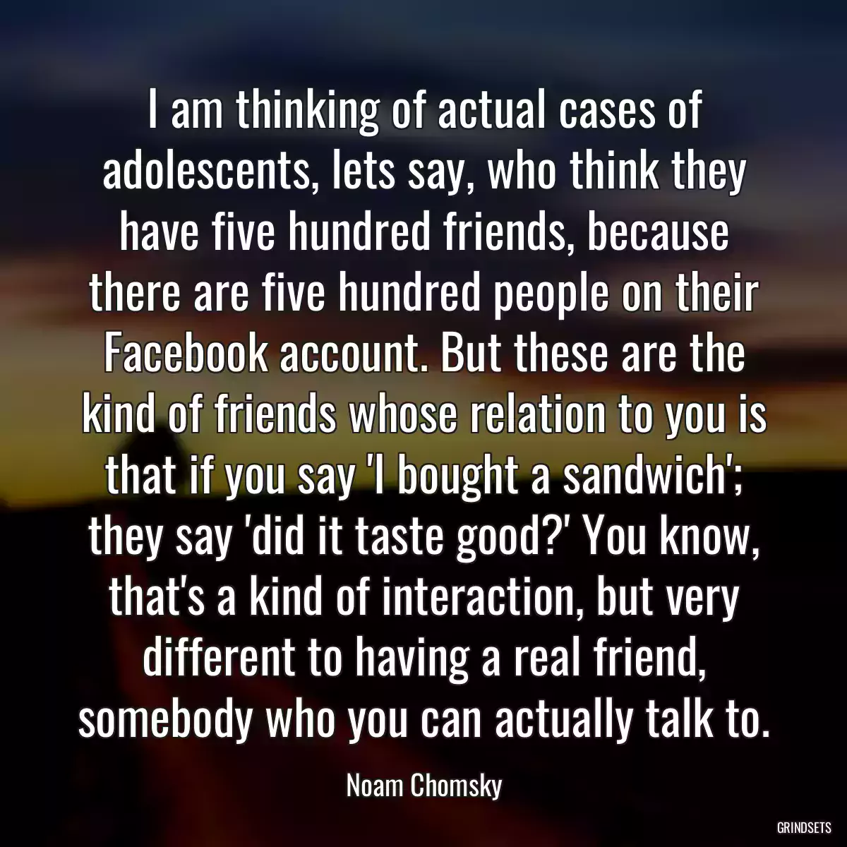 I am thinking of actual cases of adolescents, lets say, who think they have five hundred friends, because there are five hundred people on their Facebook account. But these are the kind of friends whose relation to you is that if you say \'I bought a sandwich\'; they say \'did it taste good?\' You know, that\'s a kind of interaction, but very different to having a real friend, somebody who you can actually talk to.