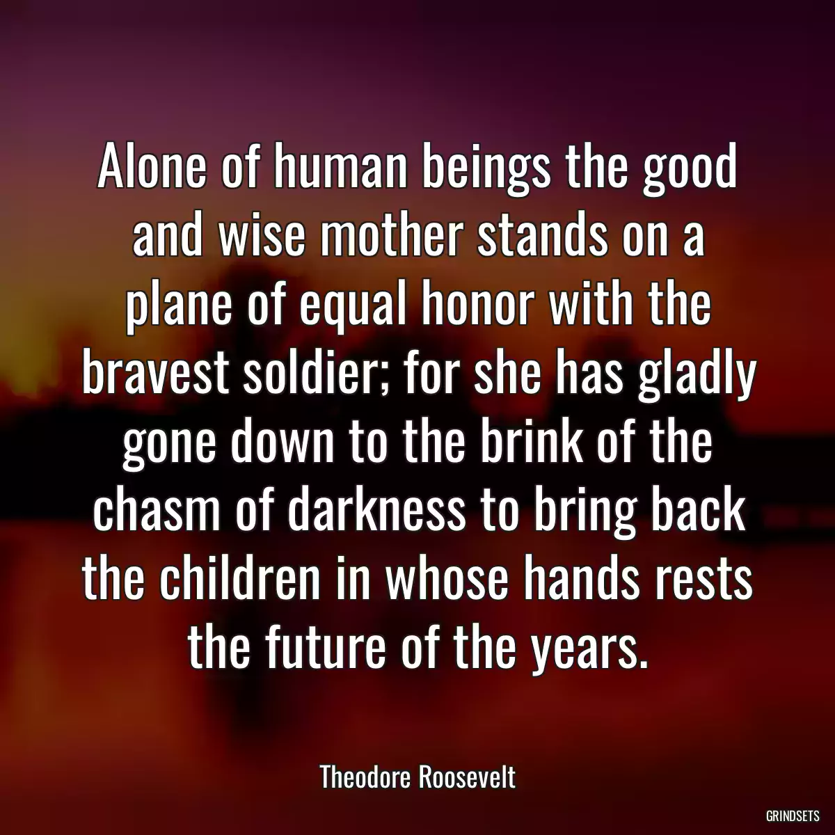 Alone of human beings the good and wise mother stands on a plane of equal honor with the bravest soldier; for she has gladly gone down to the brink of the chasm of darkness to bring back the children in whose hands rests the future of the years.