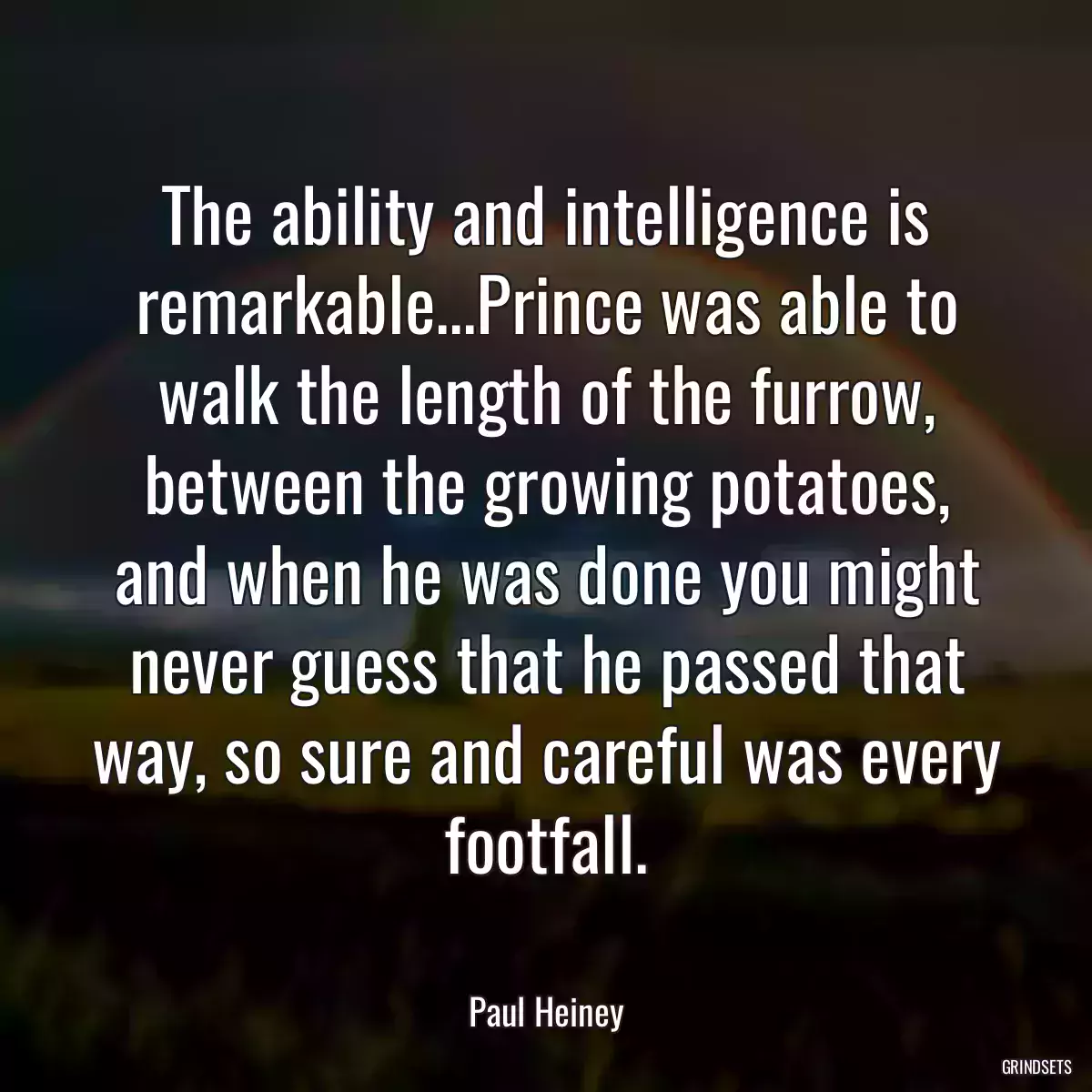 The ability and intelligence is remarkable...Prince was able to walk the length of the furrow, between the growing potatoes, and when he was done you might never guess that he passed that way, so sure and careful was every footfall.