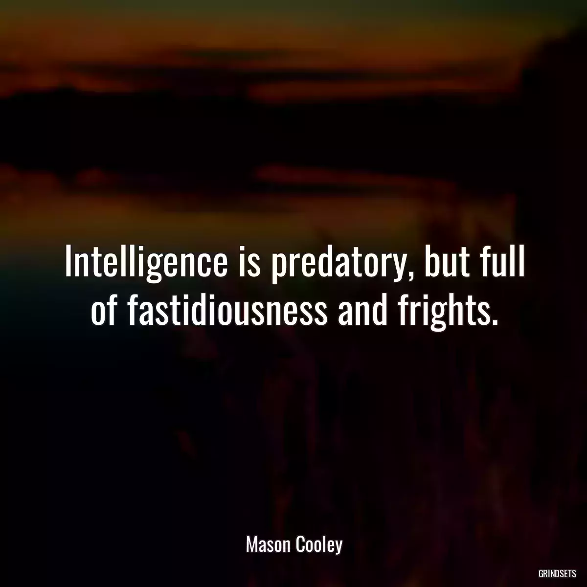 Intelligence is predatory, but full of fastidiousness and frights.