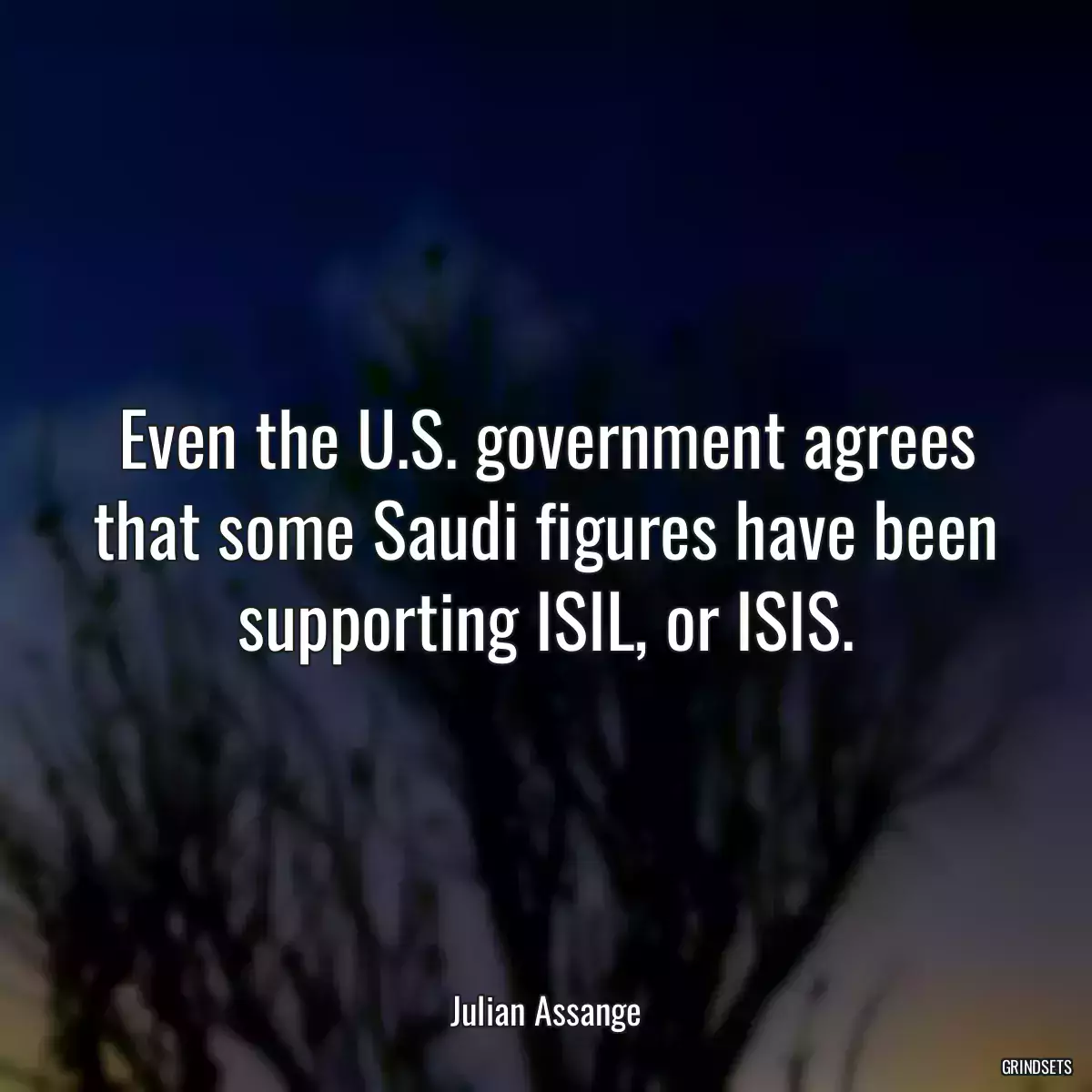 Even the U.S. government agrees that some Saudi figures have been supporting ISIL, or ISIS.