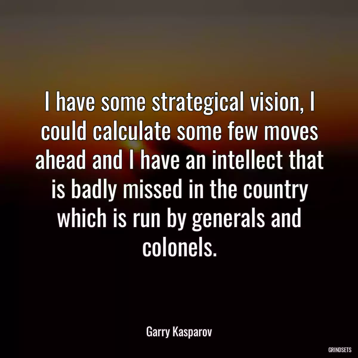 I have some strategical vision, I could calculate some few moves ahead and I have an intellect that is badly missed in the country which is run by generals and colonels.