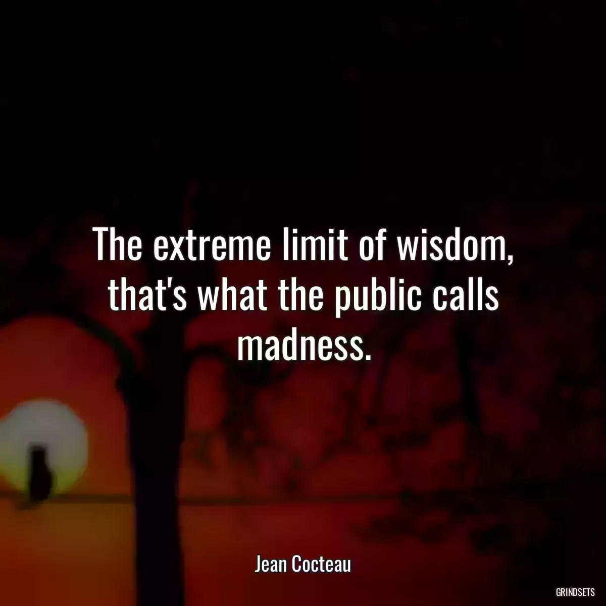 The extreme limit of wisdom, that\'s what the public calls madness.