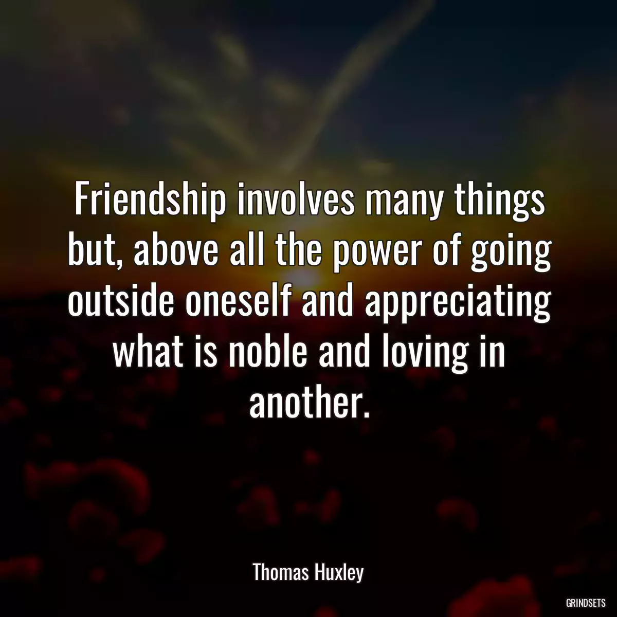 Friendship involves many things but, above all the power of going outside oneself and appreciating what is noble and loving in another.