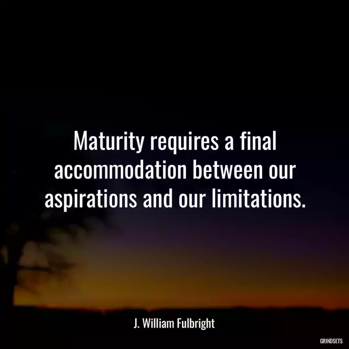 Maturity requires a final accommodation between our aspirations and our limitations.