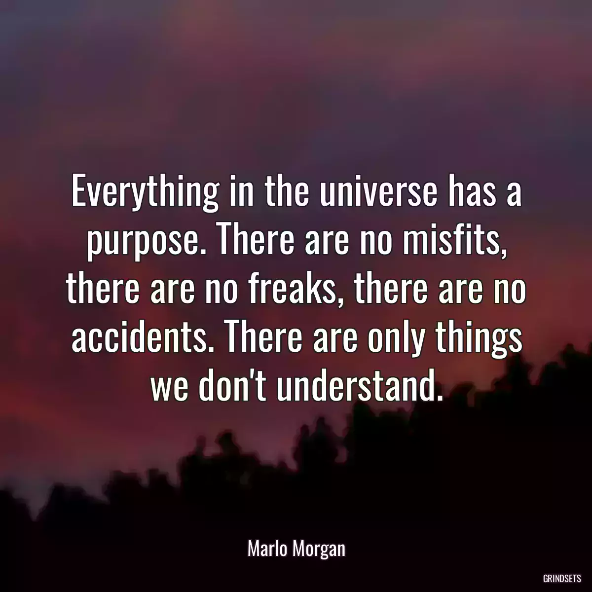 Everything in the universe has a purpose. There are no misfits, there are no freaks, there are no accidents. There are only things we don\'t understand.