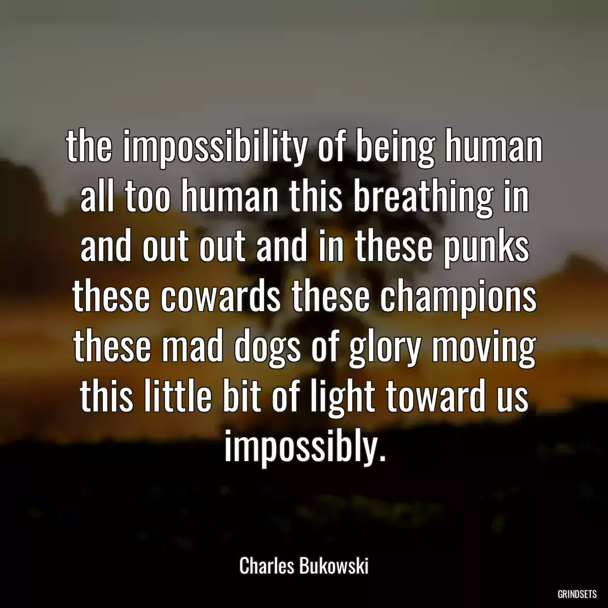 the impossibility of being human all too human this breathing in and out out and in these punks these cowards these champions these mad dogs of glory moving this little bit of light toward us impossibly.