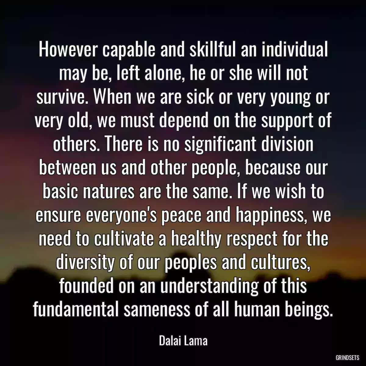 However capable and skillful an individual may be, left alone, he or she will not survive. When we are sick or very young or very old, we must depend on the support of others. There is no significant division between us and other people, because our basic natures are the same. If we wish to ensure everyone\'s peace and happiness, we need to cultivate a healthy respect for the diversity of our peoples and cultures, founded on an understanding of this fundamental sameness of all human beings.