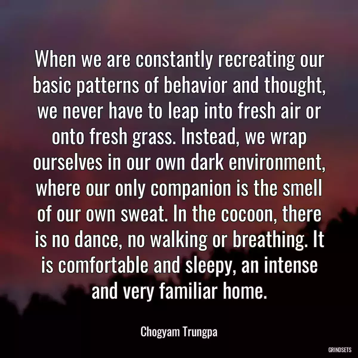 When we are constantly recreating our basic patterns of behavior and thought, we never have to leap into fresh air or onto fresh grass. Instead, we wrap ourselves in our own dark environment, where our only companion is the smell of our own sweat. In the cocoon, there is no dance, no walking or breathing. It is comfortable and sleepy, an intense and very familiar home.