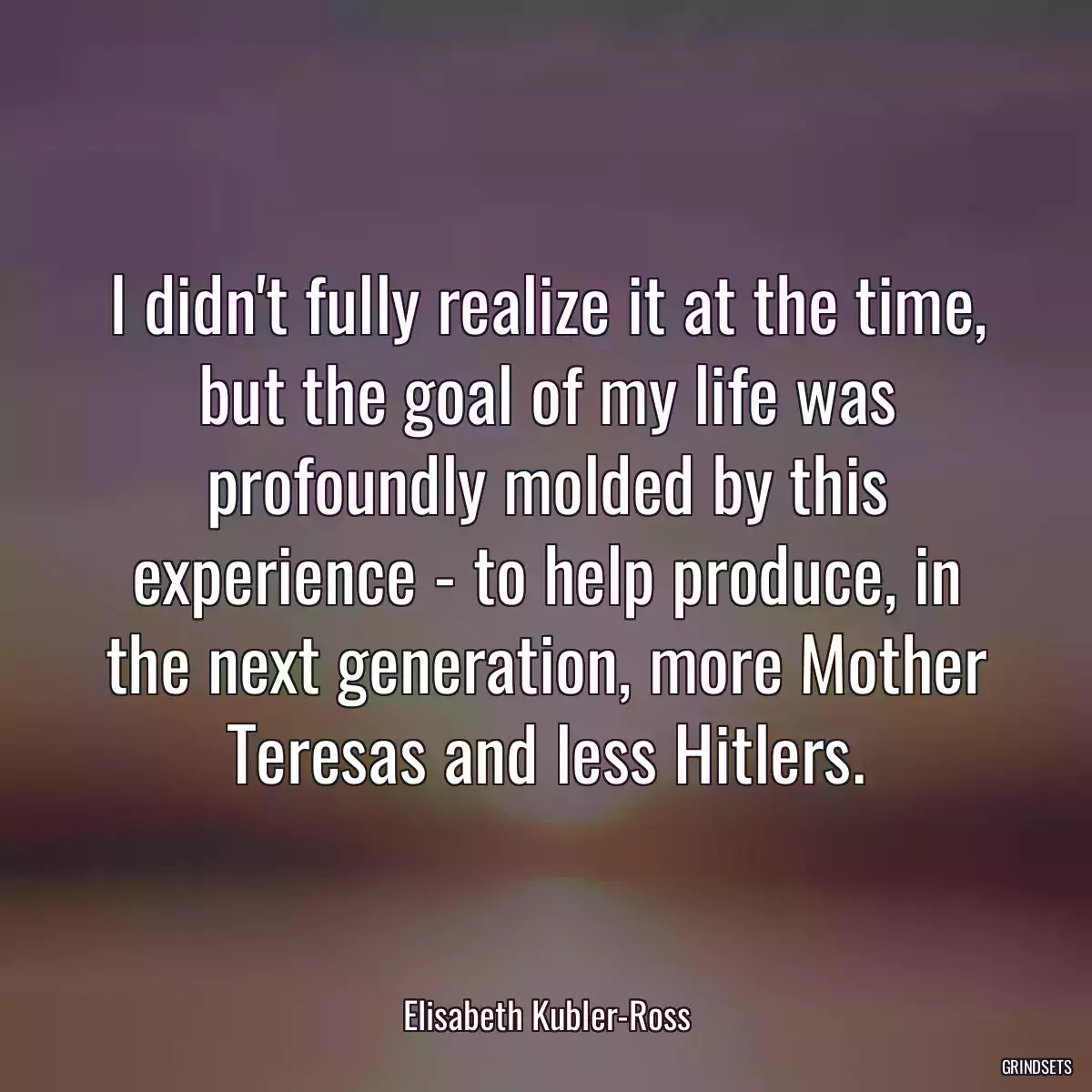 I didn\'t fully realize it at the time, but the goal of my life was profoundly molded by this experience - to help produce, in the next generation, more Mother Teresas and less Hitlers.