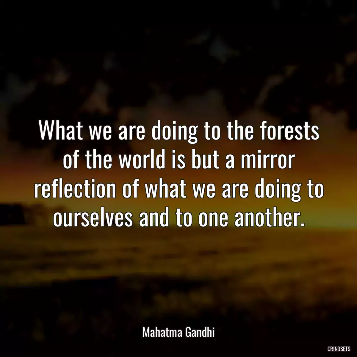 What we are doing to the forests of the world is but a mirror reflection of what we are doing to ourselves and to one another.