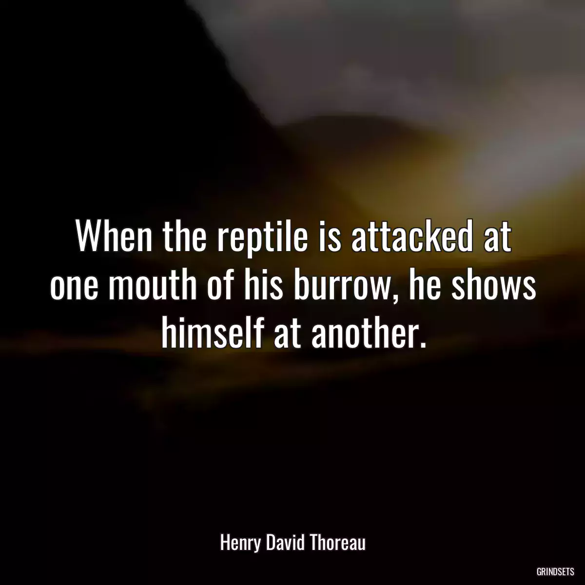 When the reptile is attacked at one mouth of his burrow, he shows himself at another.